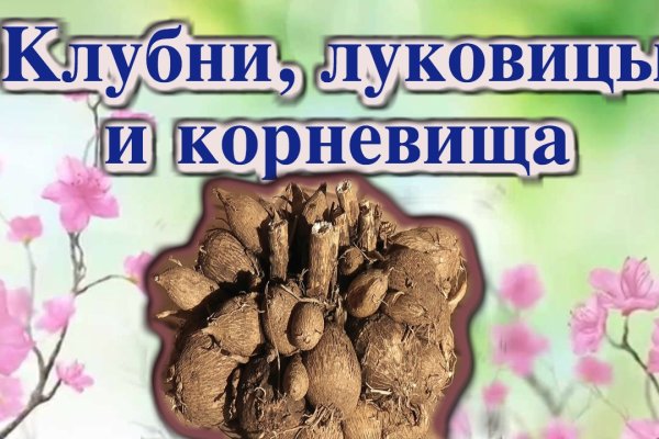 Kraken https что это