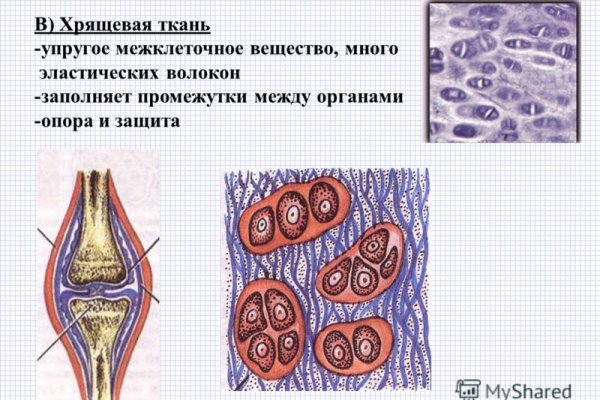 Кракен интернет площадка